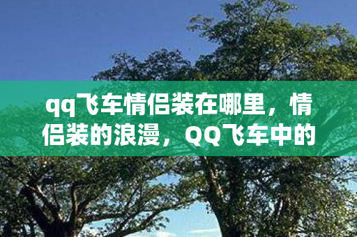 qq飞车情侣装在哪里图片