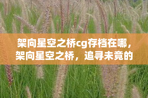 架向星空之桥cg存档在哪图片