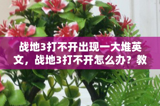 战地3打不开出现一大堆英文图片