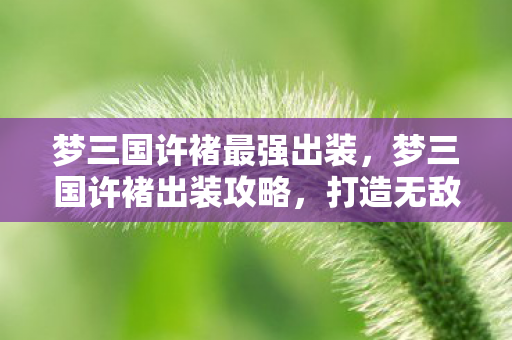 梦三国许褚最强出装，梦三国许褚出装攻略，打造无敌战斗力的必备装备组合