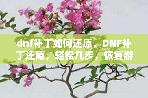 dnf补丁如何还原图片