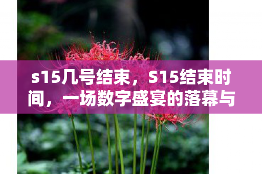 一场数字盛宴的落幕与期待图片