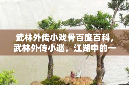 武林外传小戏骨百度百科图片