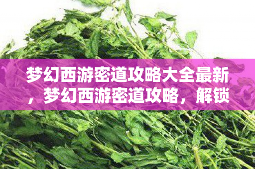 梦幻西游密道攻略大全最新图片