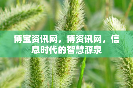 信息时代的智慧源泉图片