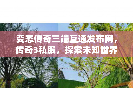变态传奇三端互通发布网图片