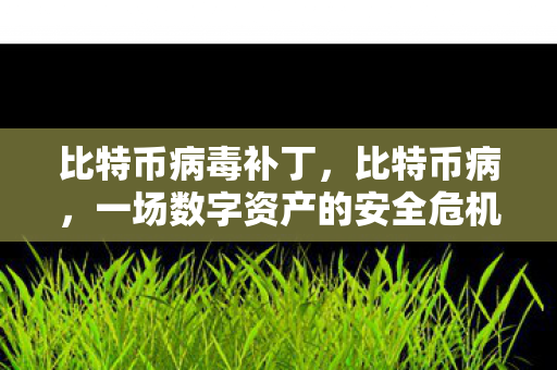 一场数字资产的安全危机与补丁探索图片