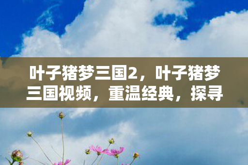 叶子猪梦三国2，叶子猪梦三国视频，重温经典，探寻策略之魅力