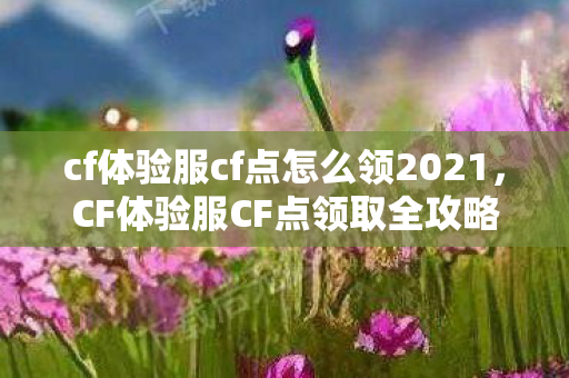 cf体验服cf点怎么领2021图片