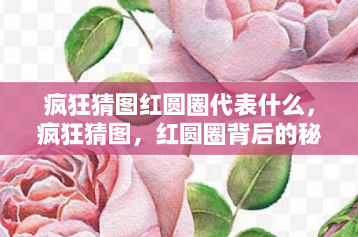 疯狂猜图红圆圈代表什么图片