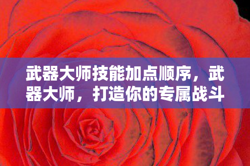 武器大师技能加点顺序图片