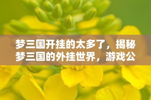 梦三国开挂的太多了，揭秘梦三国的外挂世界，游戏公平性的挑战与应对之道