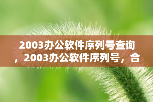 2003办公软件序列号查询图片