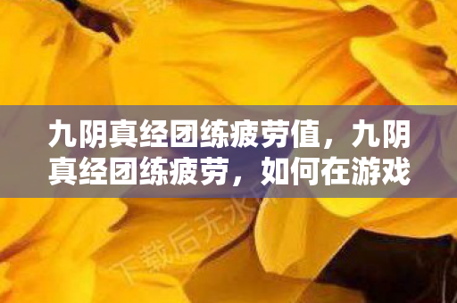 如何在游戏中保持高效与平衡图片