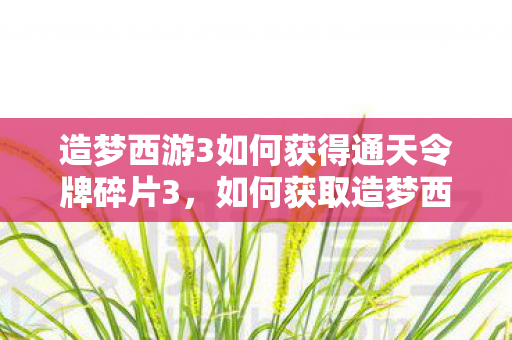 造梦西游3如何获得通天令牌碎片3图片