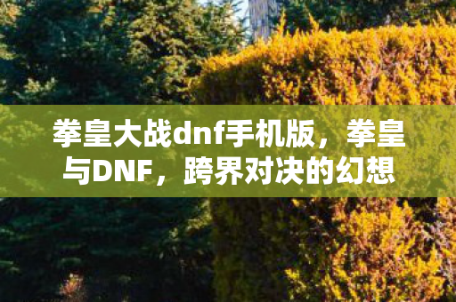 拳皇大战dnf手机版图片