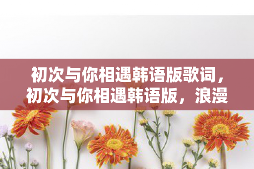 初次与你相遇韩语版歌词图片