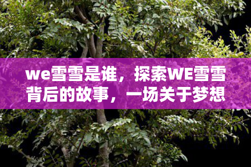 一场关于梦想与坚持的旅程图片