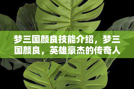 梦三国颜良技能介绍，梦三国颜良，英雄豪杰的传奇人生