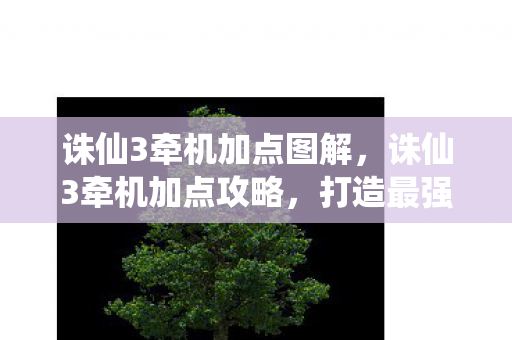 打造最强战斗力的关键图片