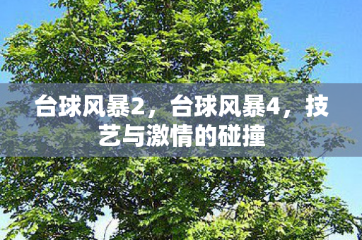 技艺与激情的碰撞图片