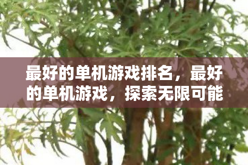 探索无限可能的娱乐之旅图片