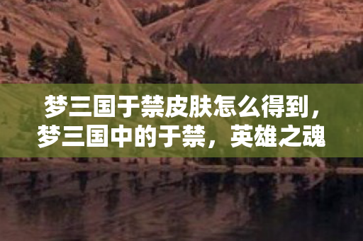 梦三国于禁皮肤怎么得到，梦三国中的于禁，英雄之魂的觉醒之路