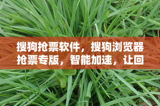 搜狗浏览器抢票专版图片