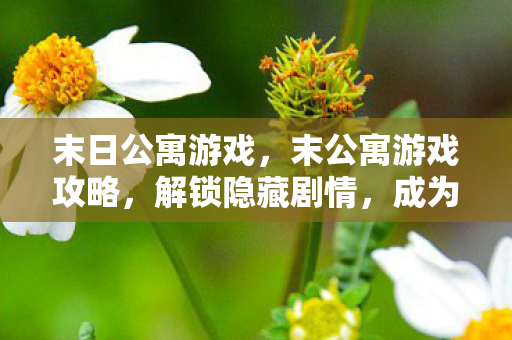 末公寓游戏攻略图片