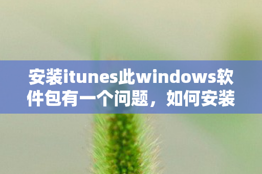 安装itunes此windows软件包有一个问题图片