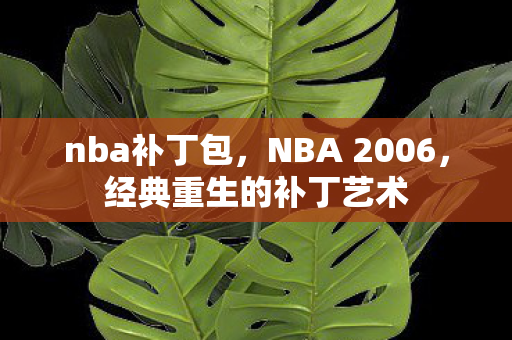 经典重生的补丁艺术图片