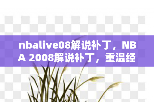 nbalive08解说补丁图片