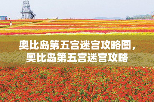 奥比岛第五宫迷宫攻略图图片