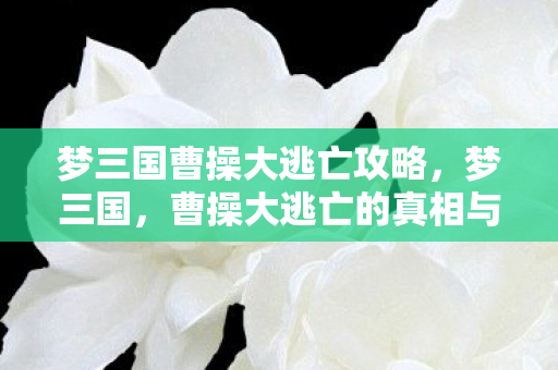 梦三国曹操大逃亡攻略，梦三国，曹操大逃亡的真相与启示