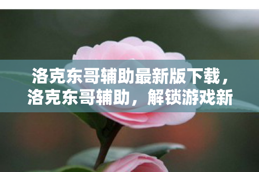 解锁游戏新境界的必备神器图片