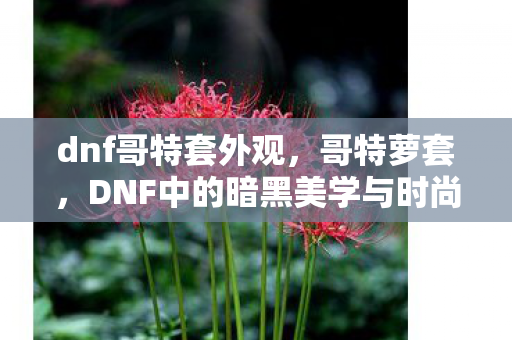 DNF中的暗黑美学与时尚潮流图片