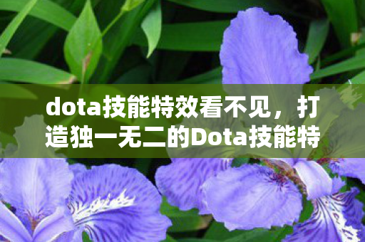 打造独一无二的Dota技能特效图片