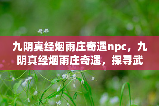 九阴真经烟雨庄奇遇npc图片