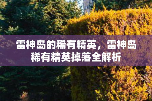 雷神岛稀有精英掉落全解析图片