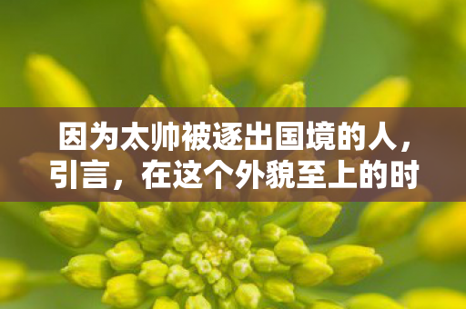 因为太帅被逐出国境的人，引言，在这个外貌至上的时代，颜值似乎成为了人们越来越关注的话题。然而，有时候颜值过高也可能带来意想不到的后果。今天，我们将讲述一个因太帅被逐出国境的故事，探讨颜值背后的辛酸与无奈