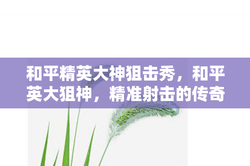 和平精英大神狙击秀图片