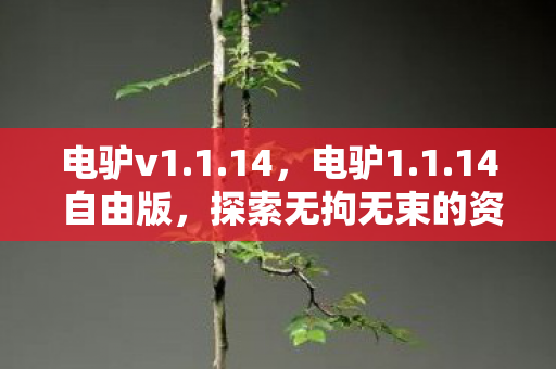 探索无拘无束的资源共享新境界图片