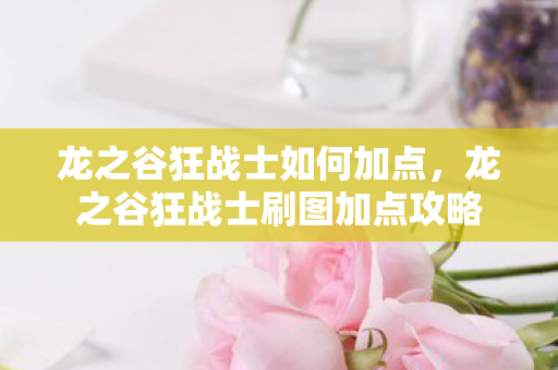 龙之谷狂战士刷图加点攻略图片