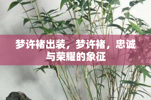 梦许褚出装，梦许褚，忠诚与荣耀的象征