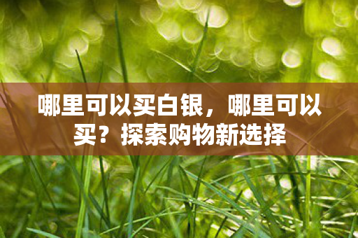 哪里可以买白银图片