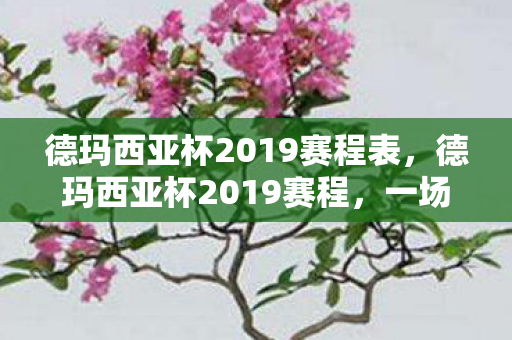德玛西亚杯2019赛程表图片