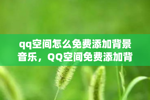 qq空间怎么免费添加背景音乐图片