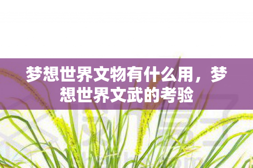 梦想世界文物有什么用图片