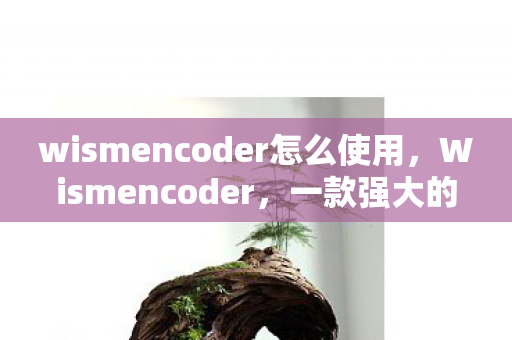 wismencoder怎么使用图片