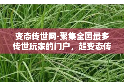 聚集全国最多传世玩家的门户图片